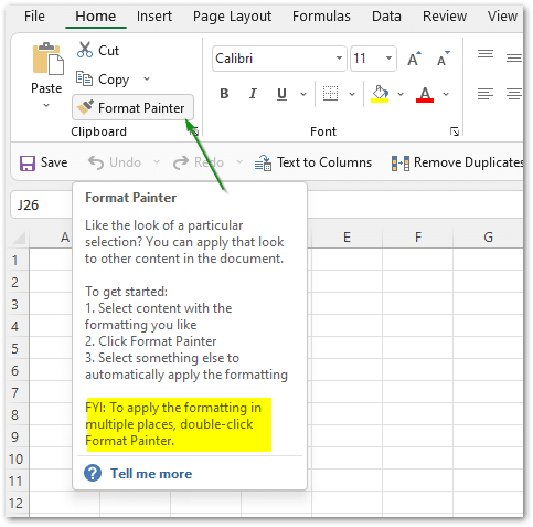 Excel format painter - cool excel tips