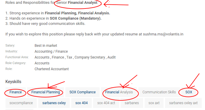 Financial Analyst skills example